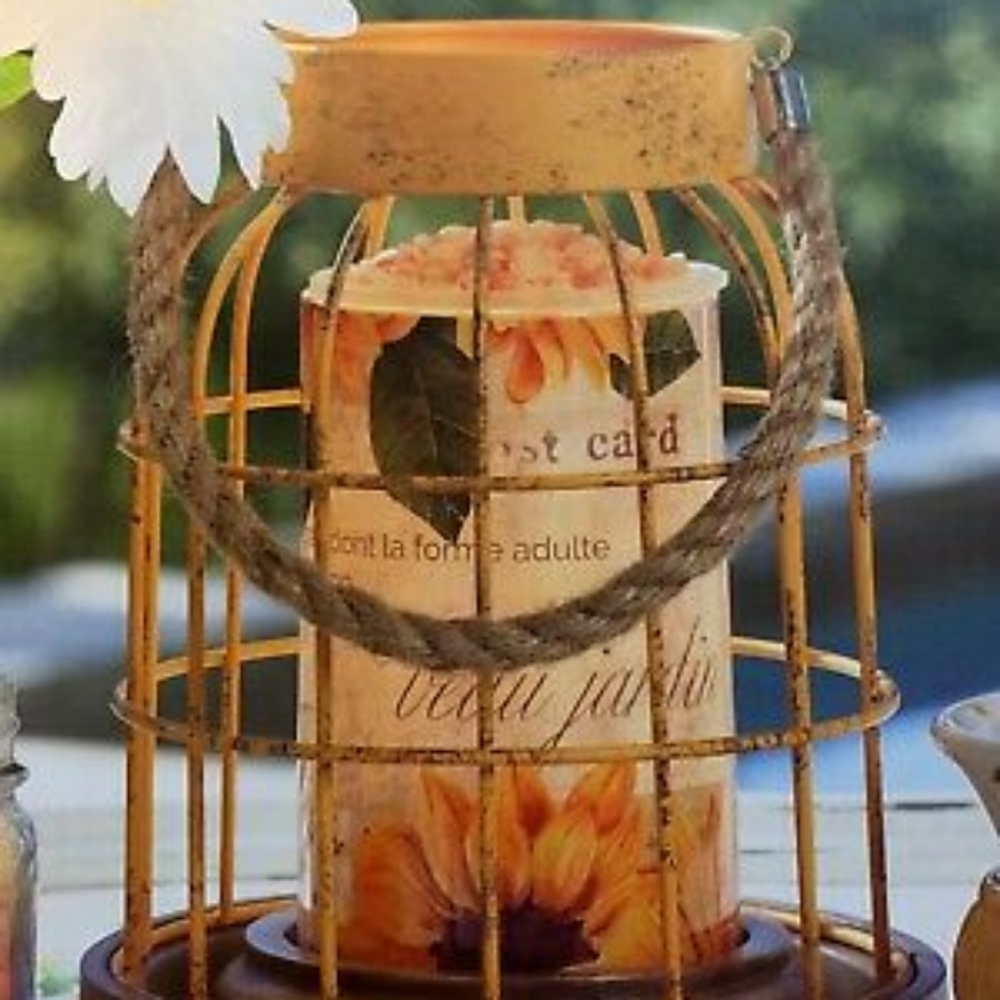 Rustic bird cage simmer shade
